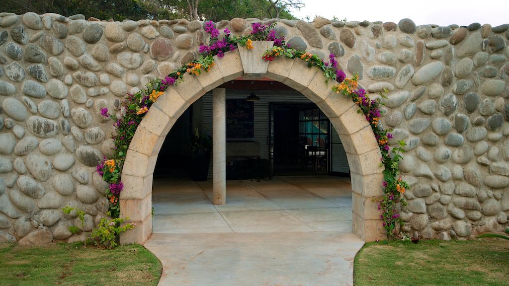 Pagua Bay House - Oceanfront Cabana'S Marigot المظهر الخارجي الصورة