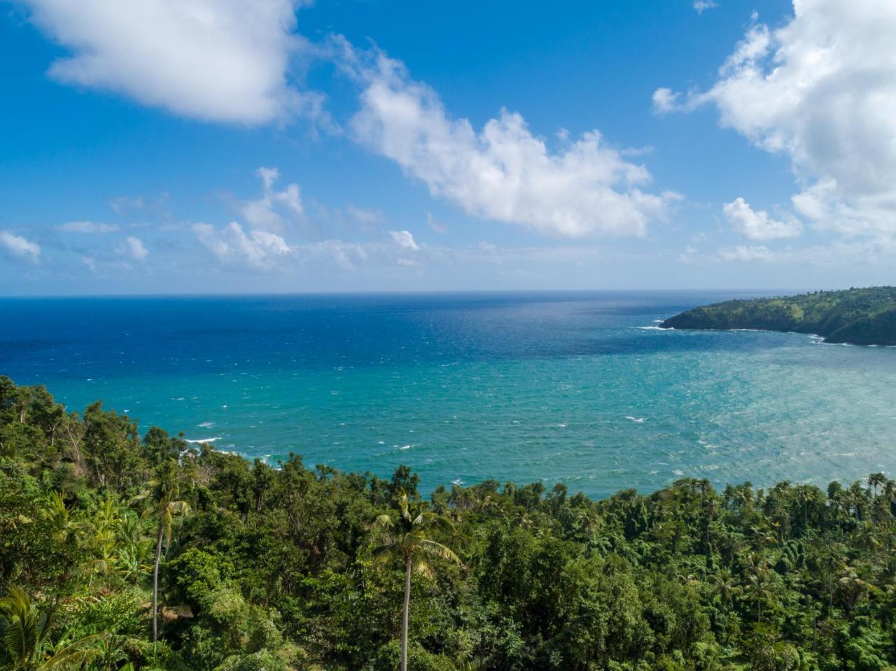 Pagua Bay House - Oceanfront Cabana'S Marigot المظهر الخارجي الصورة
